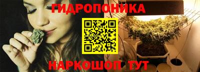 гидра Можга