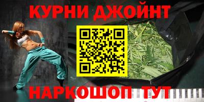 гидра Можга