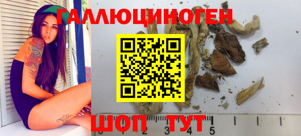 Галлюциногенные грибы Magic Shrooms Старая Купавна