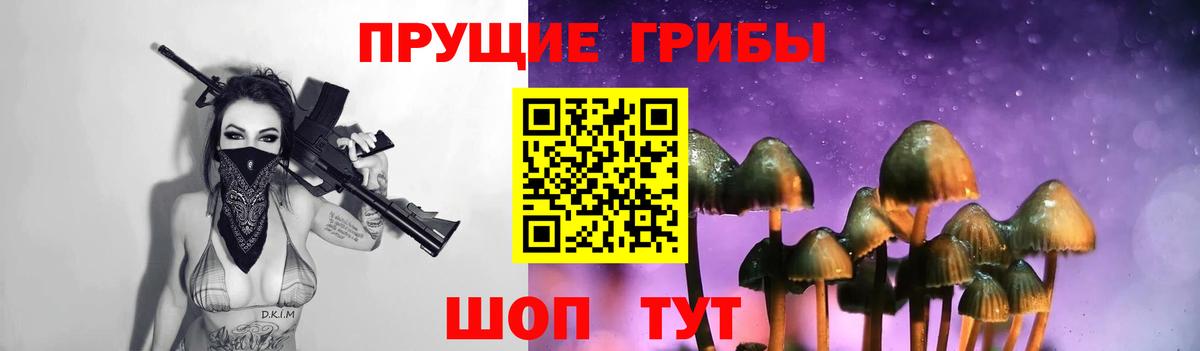 Старая Купавна  Псилоцибиновые грибы ЛСД  Псилоцибиновые грибы мухоморы  Вход с VPN 